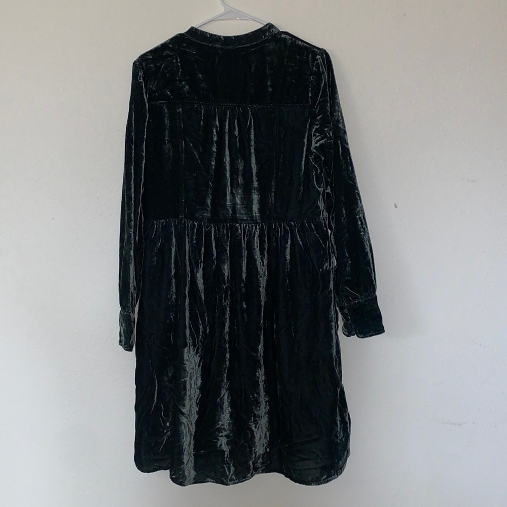 Holding Horses Crushed Velvet Dress - Picture 7 of 7